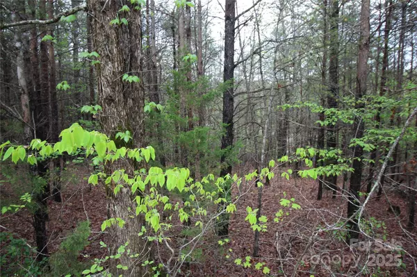 Lot #10 Ridge WAY #Lot 10, Marion, NC 28752