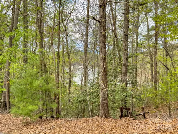 Nebo, NC 28761,26 Memory LN #12