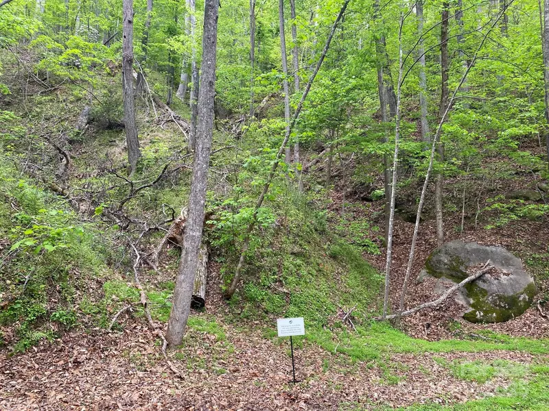 0 South DR #51, Lake Lure, NC 28746