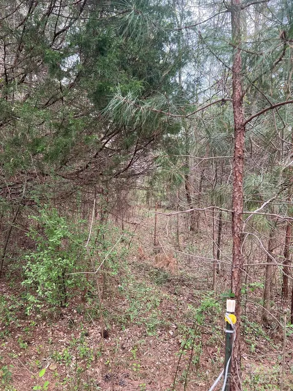 Midland, NC 28107,11055 Graybark RD