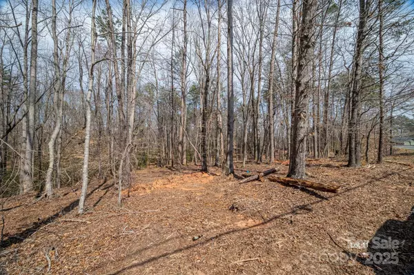 Denver, NC 28037,00 Forney Hill RD #11