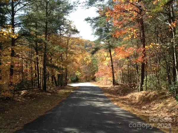 Landrum, SC 29356,0 Hidden Glory DR