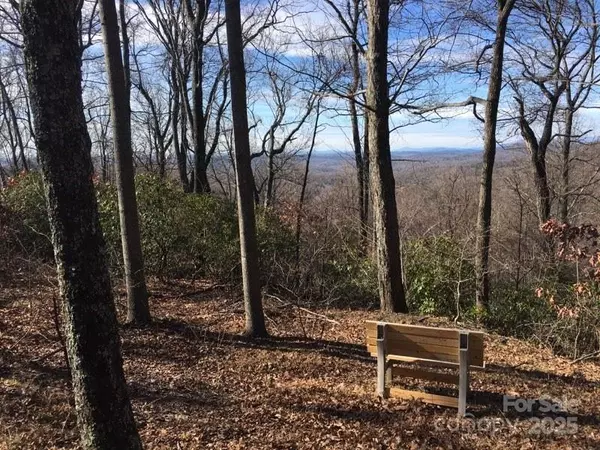 Landrum, SC 29356,0 Hidden Glory DR