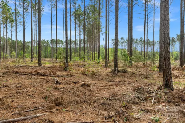 Fort Lawn, SC 29714,0 Lynn RD #4