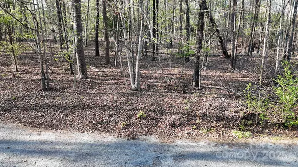 Forest City, NC 28043,00 Richardson Creek LN