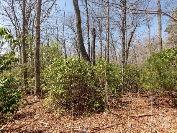 Hendersonville, NC 28739,00 Indian Ridge TRL