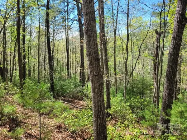 Marion, NC 28752,Lot 21 Little Fox RUN