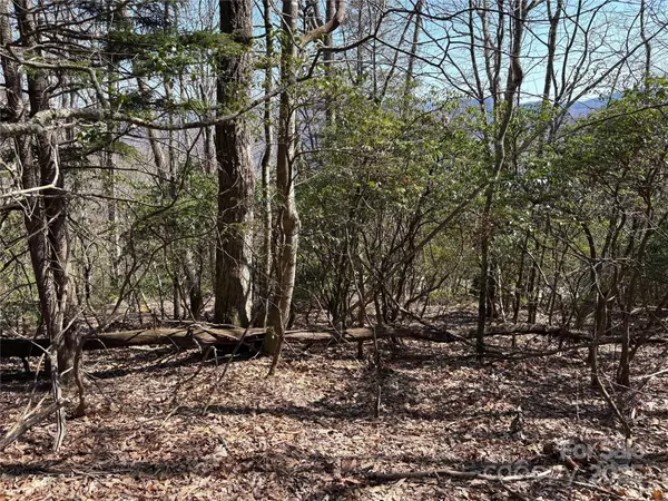Maggie Valley, NC 28751,TBD Leatherwood RD #24B