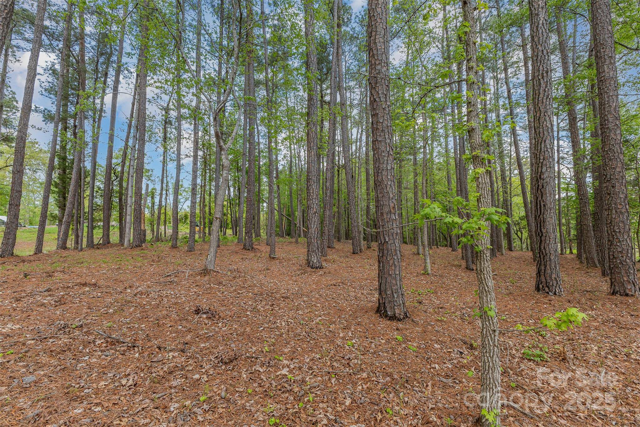 Clover, SC 29710,00 Tract 3 Off Charlotte HWY