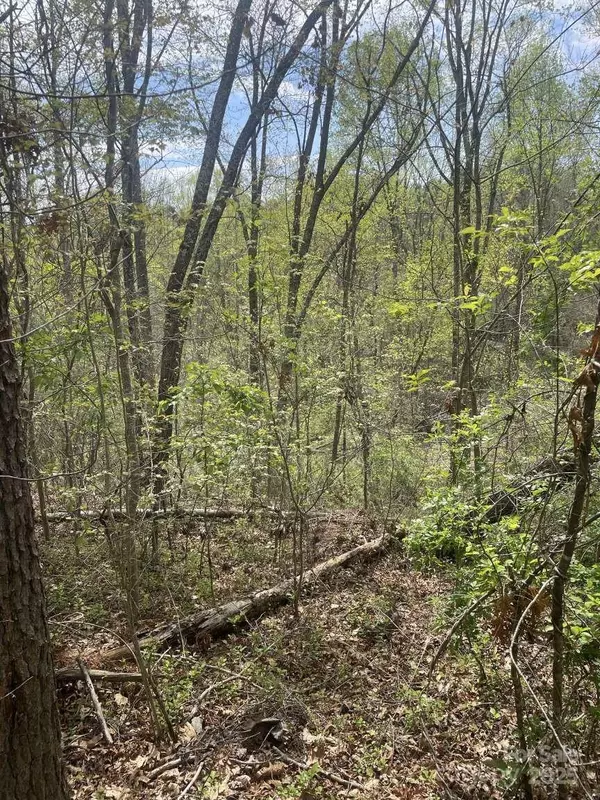 Asheville, NC 28806,157 Richmond Ridge RD