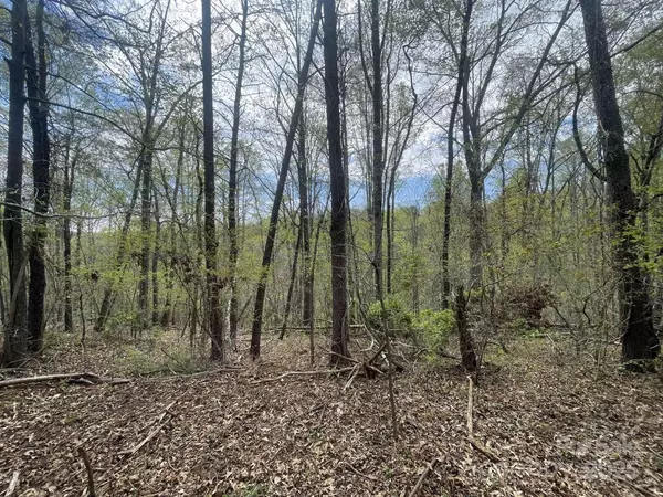 Asheville, NC 28806,157 Richmond Ridge RD