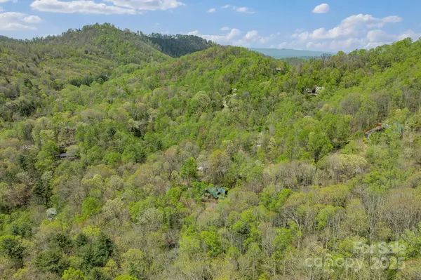 Asheville, NC 28803,32 Indian Knob RD
