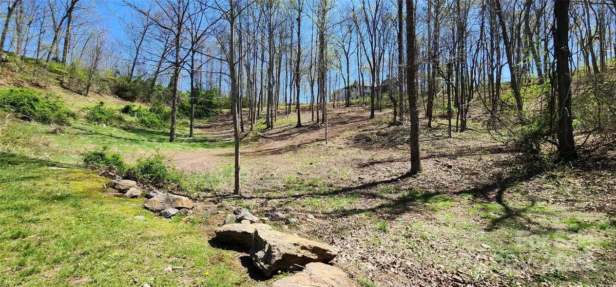 Asheville, NC 28804,31 Sweet Fern Pkwy #42