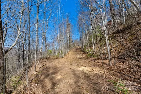 Whittier, NC 28789,0000 Country Club DR