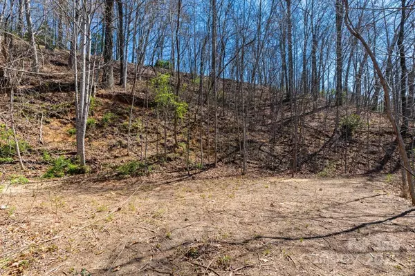 Whittier, NC 28789,0000 Country Club DR