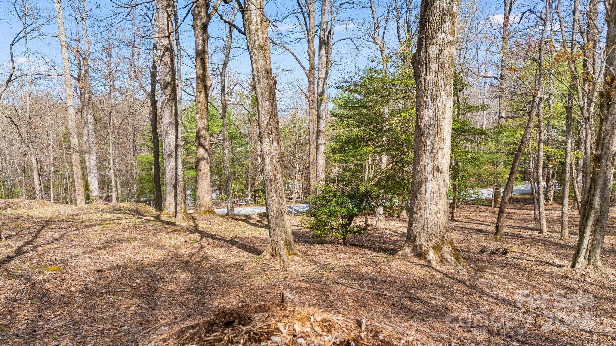 Hendersonville, NC 28739,367 Alta CIR #094-R