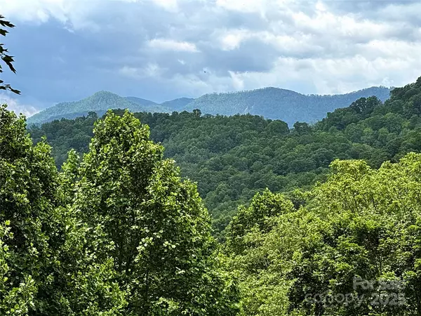 Burnsville, NC 28714,311 Pisgah Mine RD