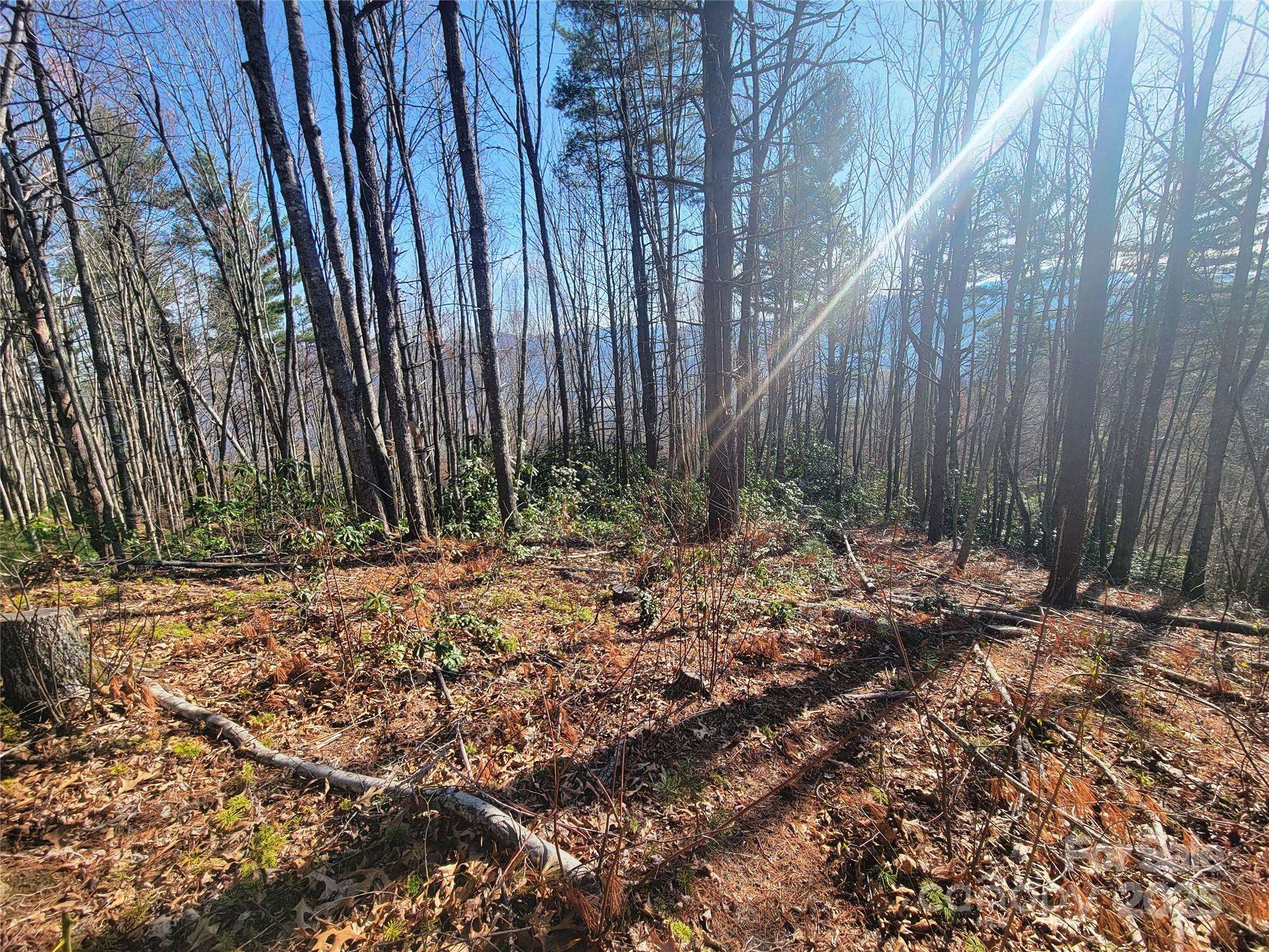 Waynesville, NC 28785,111 Digging Seng TRL #138