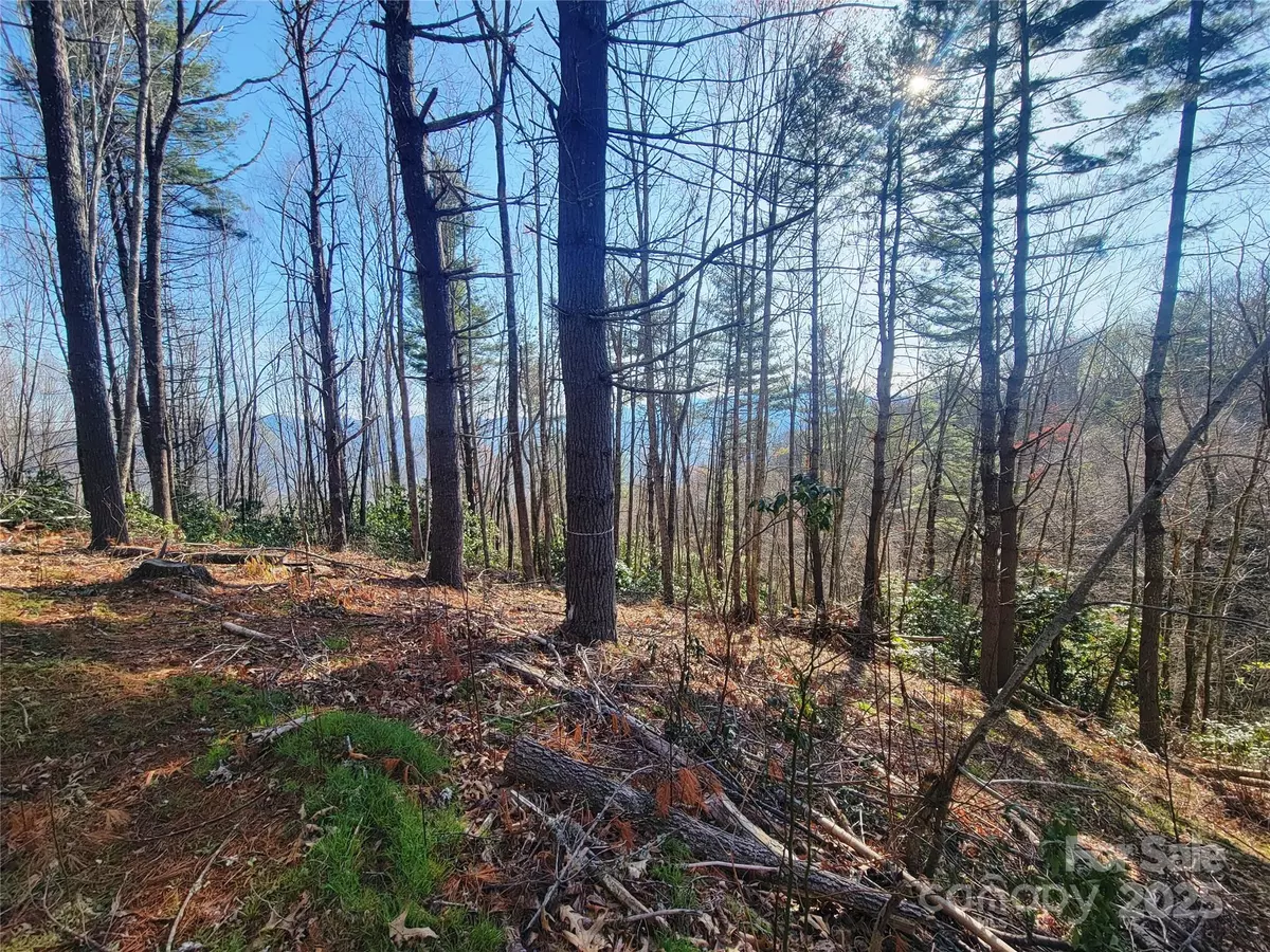 Waynesville, NC 28785,111 Digging Seng TRL #138