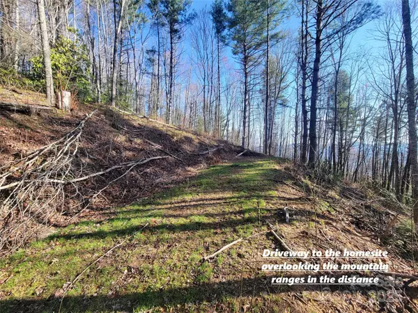 Waynesville, NC 28785,111 Digging Seng TRL #138