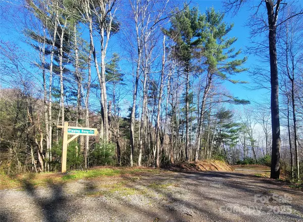 Waynesville, NC 28785,111 Digging Seng TRL #138