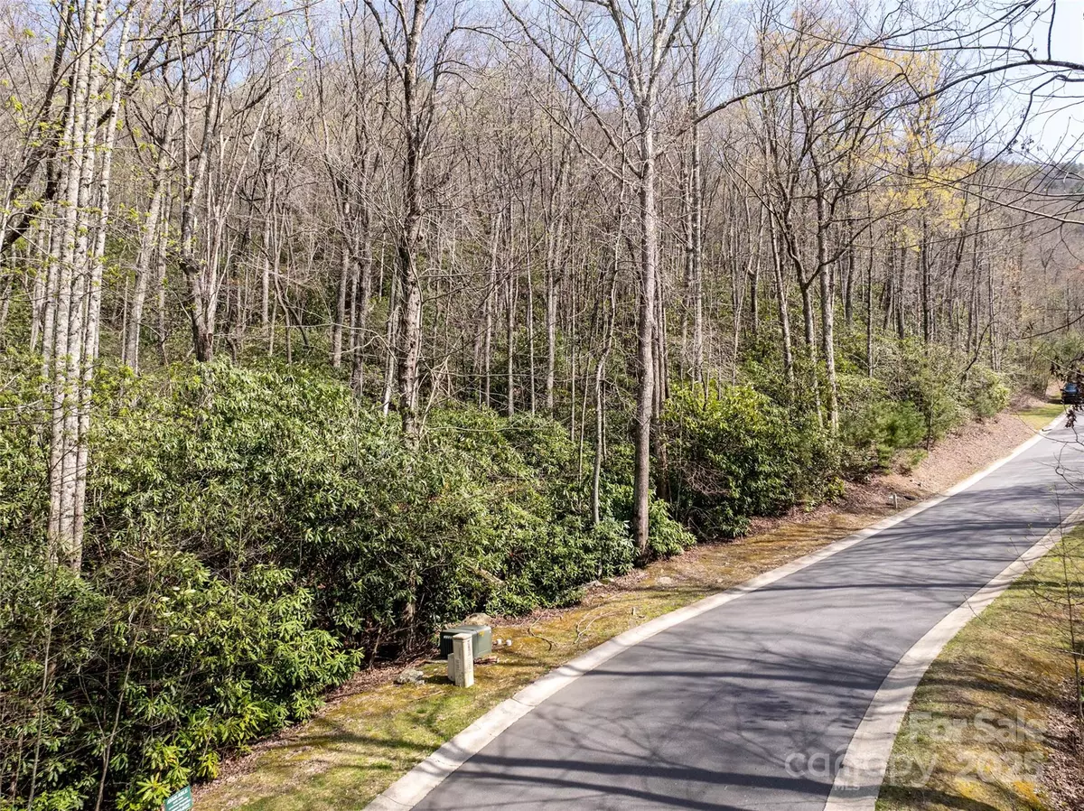 Black Mountain, NC 28711,50 Settings BLVD