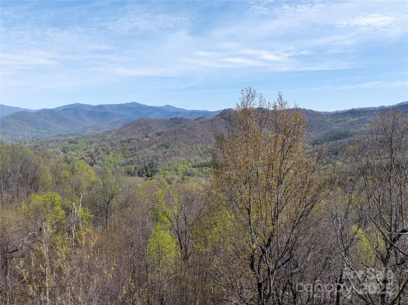 19 Crockett Ridge RD, Black Mountain, NC 28711