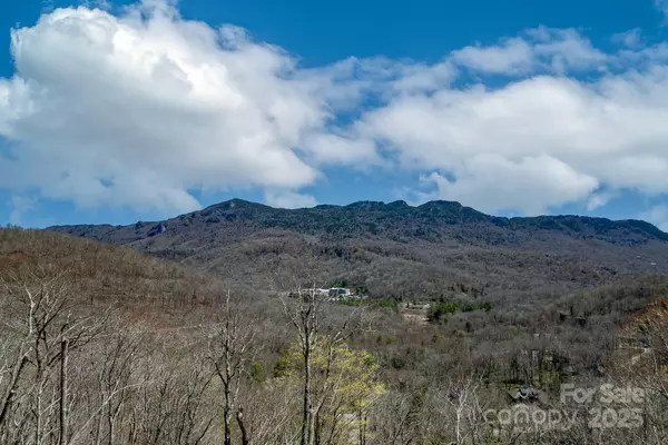 Sugar Mountain, NC 28604,150 Squirrel Corn LN