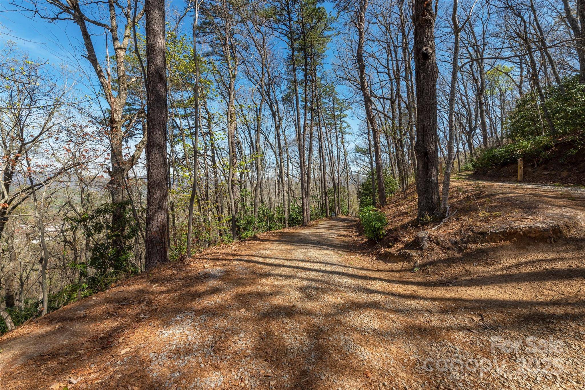 Black Mountain, NC 28711,99999 Sunset DR