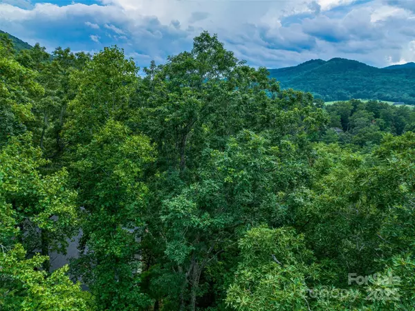 Arden, NC 28704,36 Dividing Ridge TRL #5