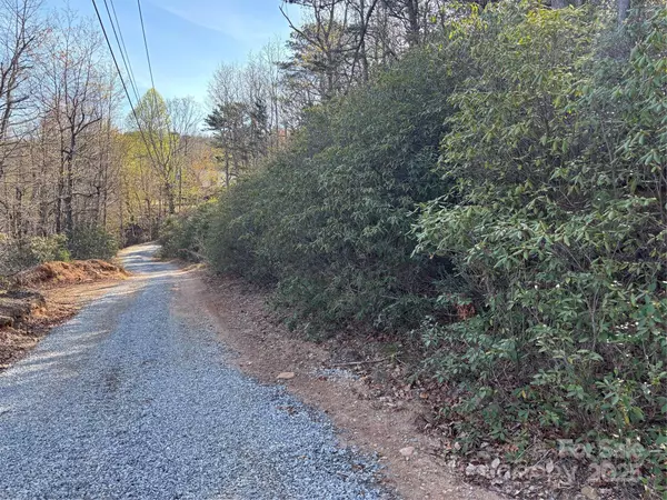 Edneyville, NC 28792,00 Kathy Lake DR #24/25