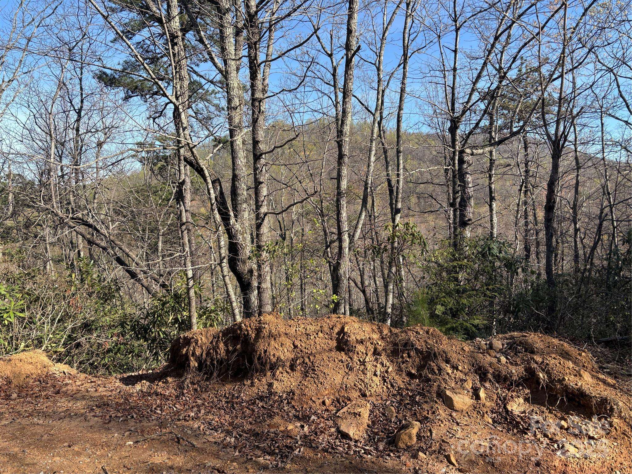 00 Kathy Lake DR #24/25, Edneyville, NC 28792