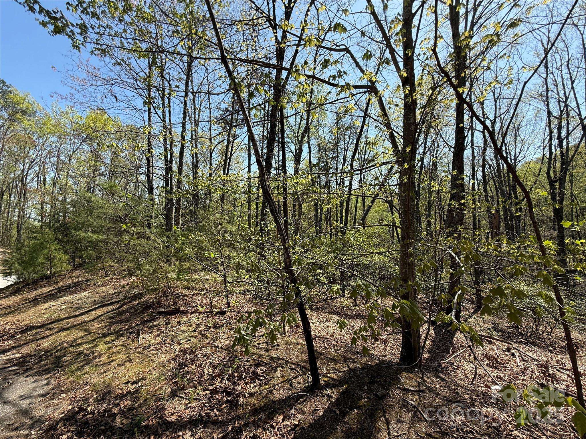 Travelers Rest, SC 29690,605 Mountain Summit RD