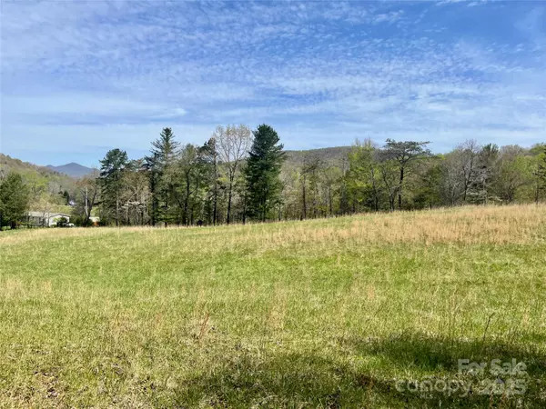 Candler, NC 28715,99999 Lollis RD
