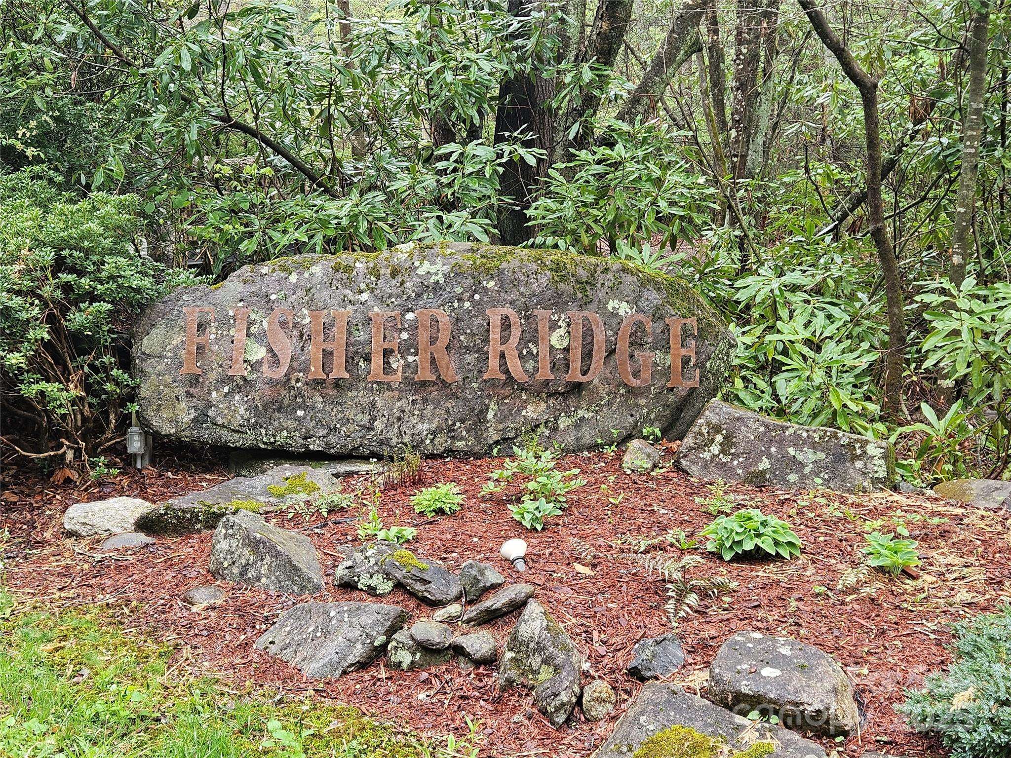 Maggie Valley, NC 28751,TBD Davy Crockett DR #109-112