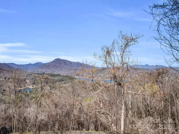 Lake Lure, NC 28746,000 Clear Creek TRL #30