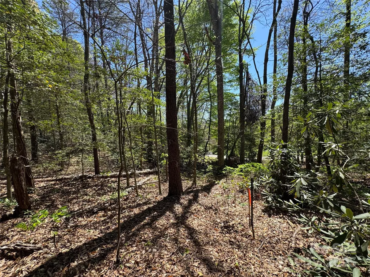 Old Fort, NC 28762,60 E Spring Wheel DR