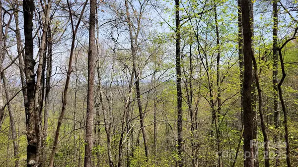 Sylva, NC 28779,26 Lacy Fern RDG #26