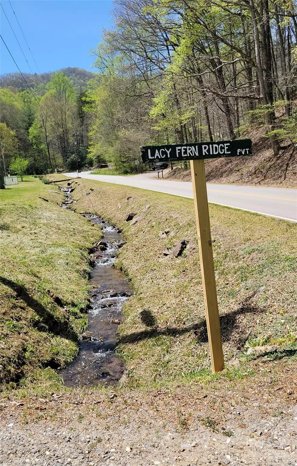 Sylva, NC 28779,27 Lacy Fern RDG #27