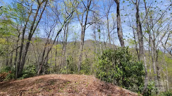 Sylva, NC 28779,30 Lacy Fern RDG #30