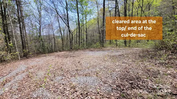 Sylva, NC 28779,31 Lacy Fern RDG #31
