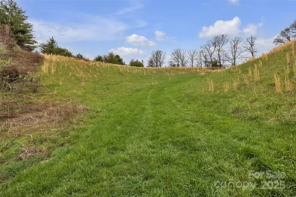 Grassy Creek, NC 28631,TBD Big Helton RD