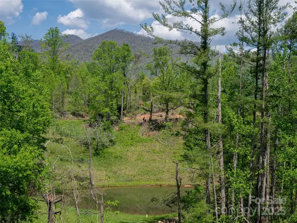 Asheville, NC 28805,15 Sassy LN