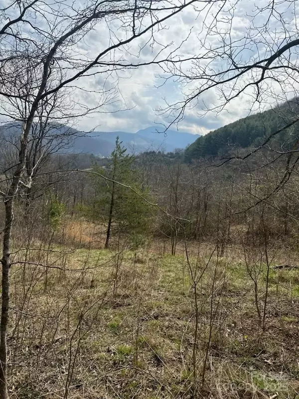 Canton, NC 28716,26 Hawthorne Draw TRL