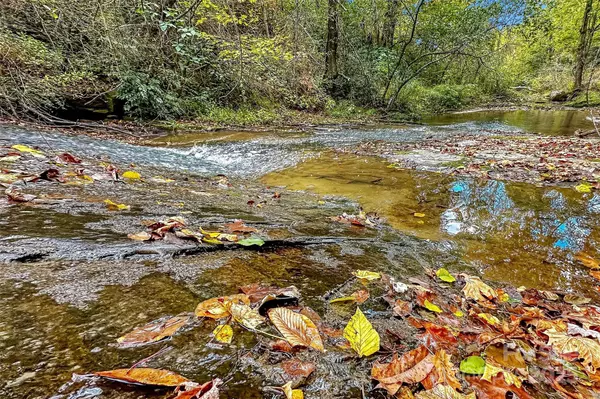 Old Fort, NC 28762,2517 Pine Cove RD