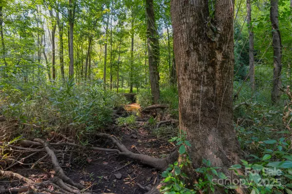 Waxhaw, NC 28173,00 Stonehenge CT