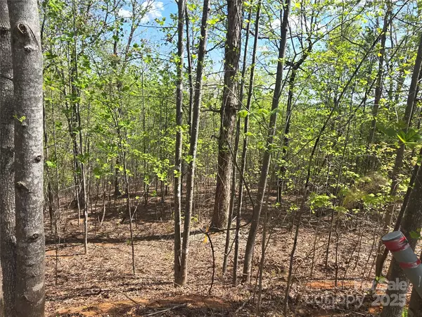 Lake Lure, NC 28746,Lot 13 Back Hollow DR