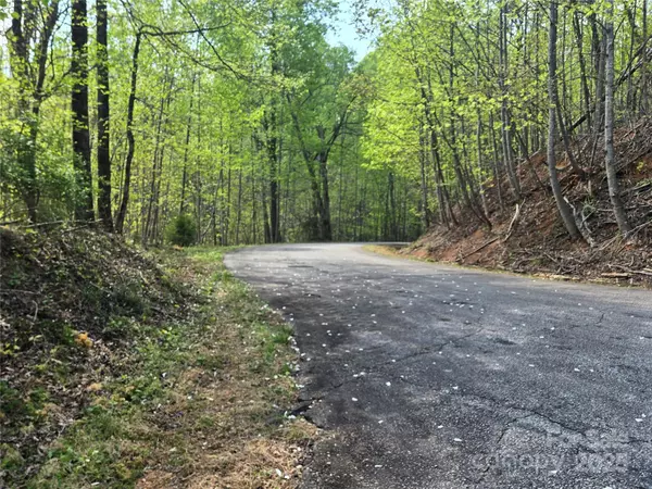 Lake Lure, NC 28746,Lot 15 Touch Me Not TRL