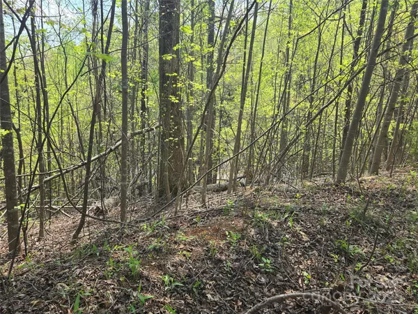 Lake Lure, NC 28746,Lot 15 Touch Me Not TRL