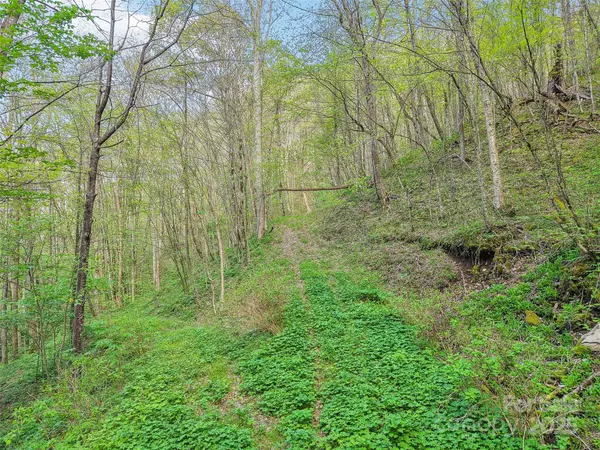 Waynesville, NC 28785,0 Star Crest DR